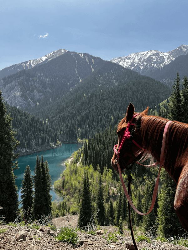 Horse in the foreground overlooking Lake Kaindy nestled among forested mountains
